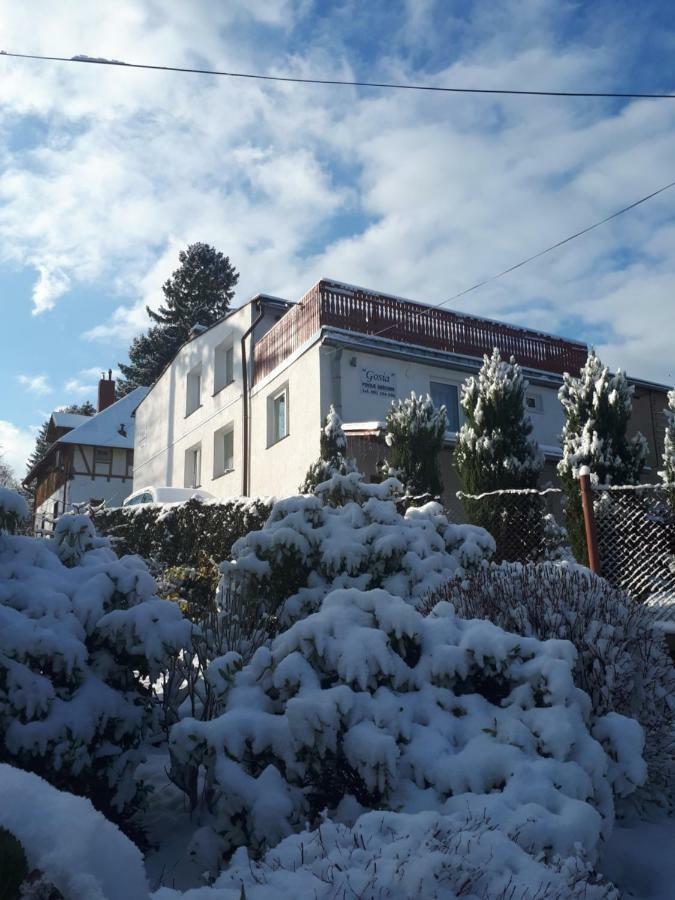 Kameralny- De Luxe Z Oddzielnym Wejsciem Apartmán